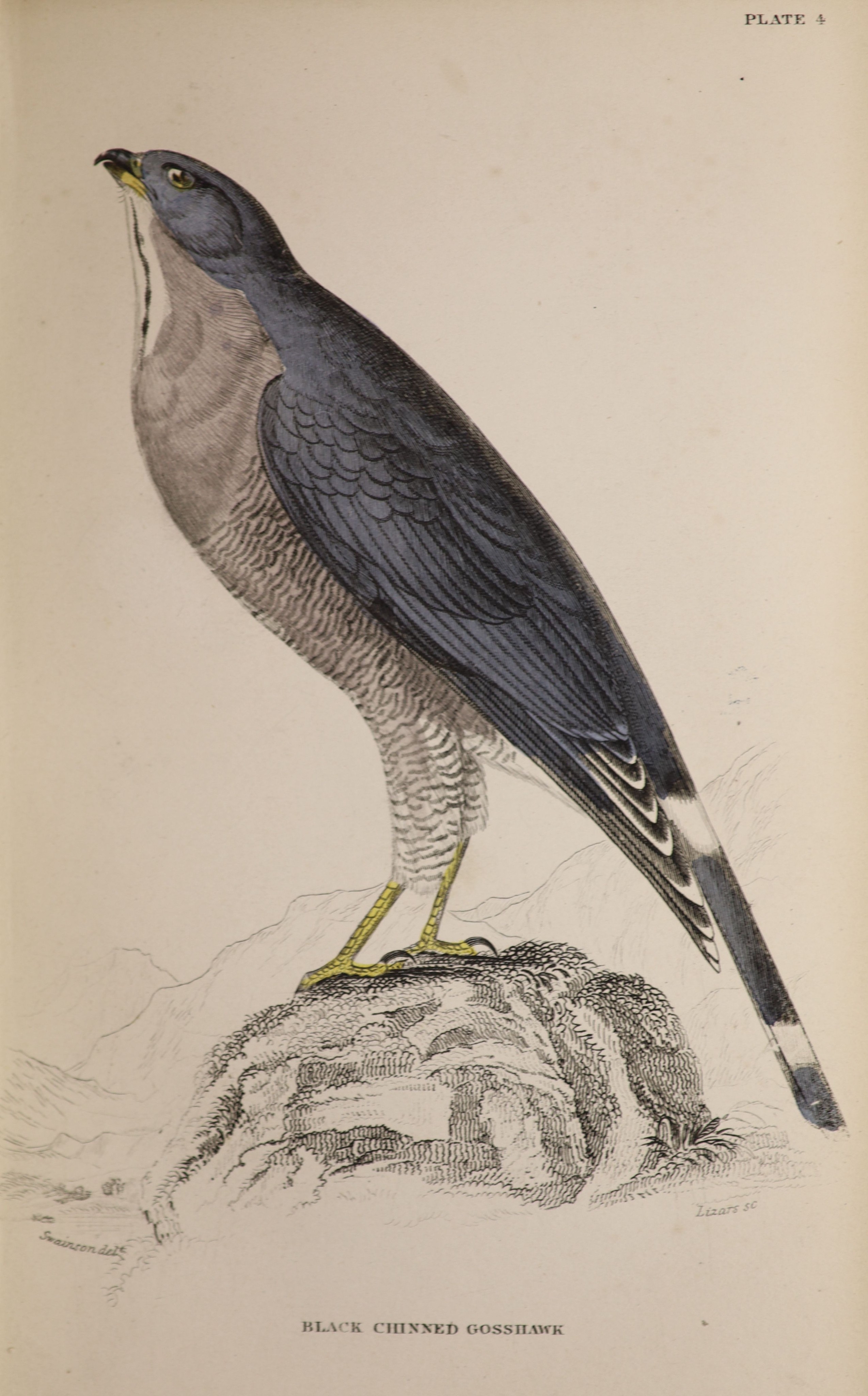 Jardine, Sir William [Editor] - The Naturalists Library. Vol XI. Ornithology Birds of Western Africa, Part 1. Complete with frontispiece, 32 coloured plates and half title with coloured vignette. Cloth on board, gilt spi